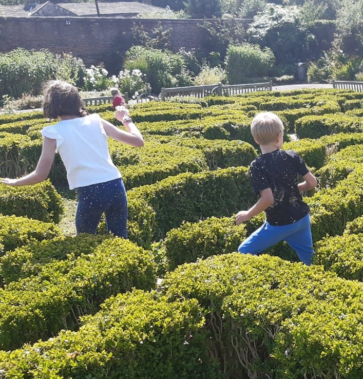 Two children playing in a green maze on a sunny day.